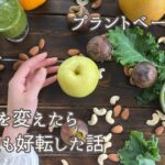 記事「プラントベース食で心と体が整った|食生活を変えたら人生も好転した話」のアイキャッチ画像