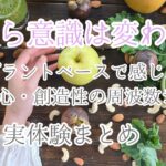 食から意識は変わる?プラントベースで感じた体・心・創造性の周波数シフト 実体験まとめ記事のアイキャッチ