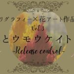 『カリグラフィー×花アート作品〜Sとウモウケイトウ〜』記事のアイキャッチ