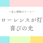 記事「光と植物のアート|フローレンスが灯す、喜びの光」のアイキャッチ