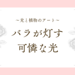 記事「光と植物のアート｜バラが灯す、可憐な光」のアイキャッチ