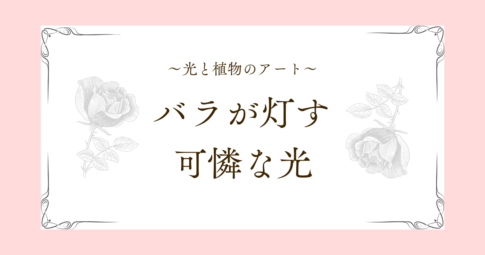 記事「光と植物のアート｜バラが灯す、可憐な光」のアイキャッチ