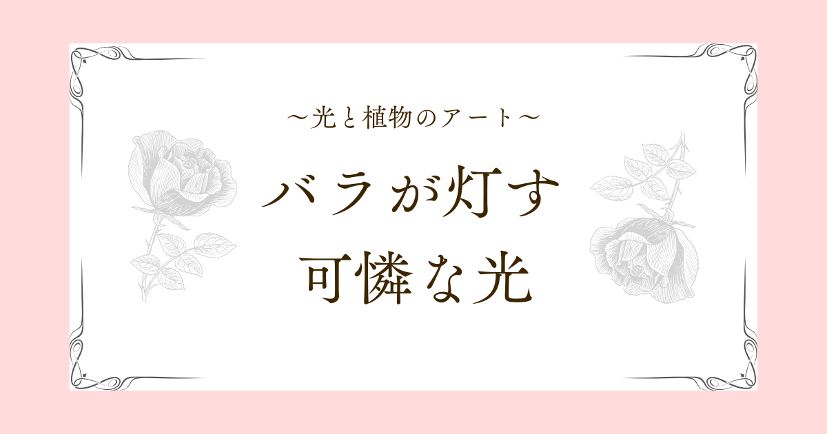 記事「光と植物のアート|バラが灯す、可憐な光」のアイキャッチ