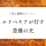 アート記事光と植物のアート｜ルドベキアが灯す、豊穣の光』のアイキャッチ