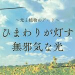アート記事『光と植物のアート|ひまわりが灯す、無邪気な光』のアイキャッチ